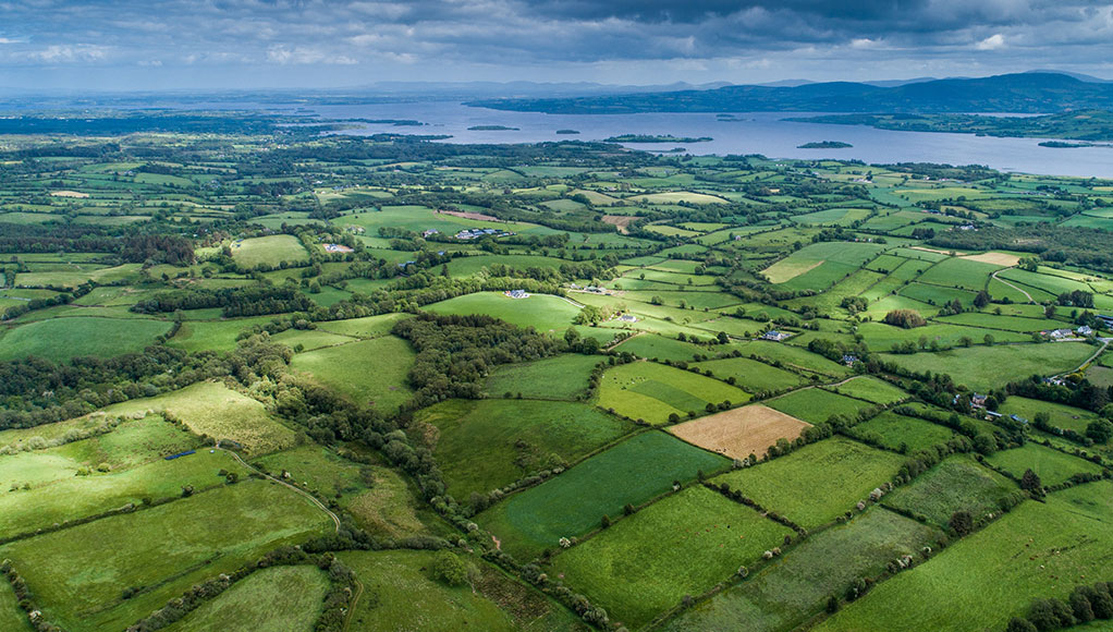 Aerial view of rolling green fields and the river Shannon in the background